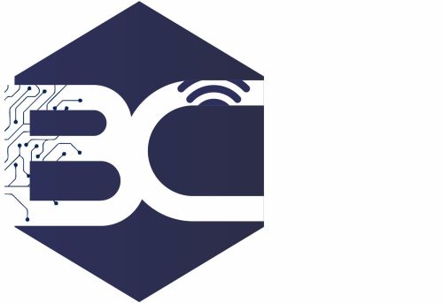 Brilliant Computers Citadel and Information Technology